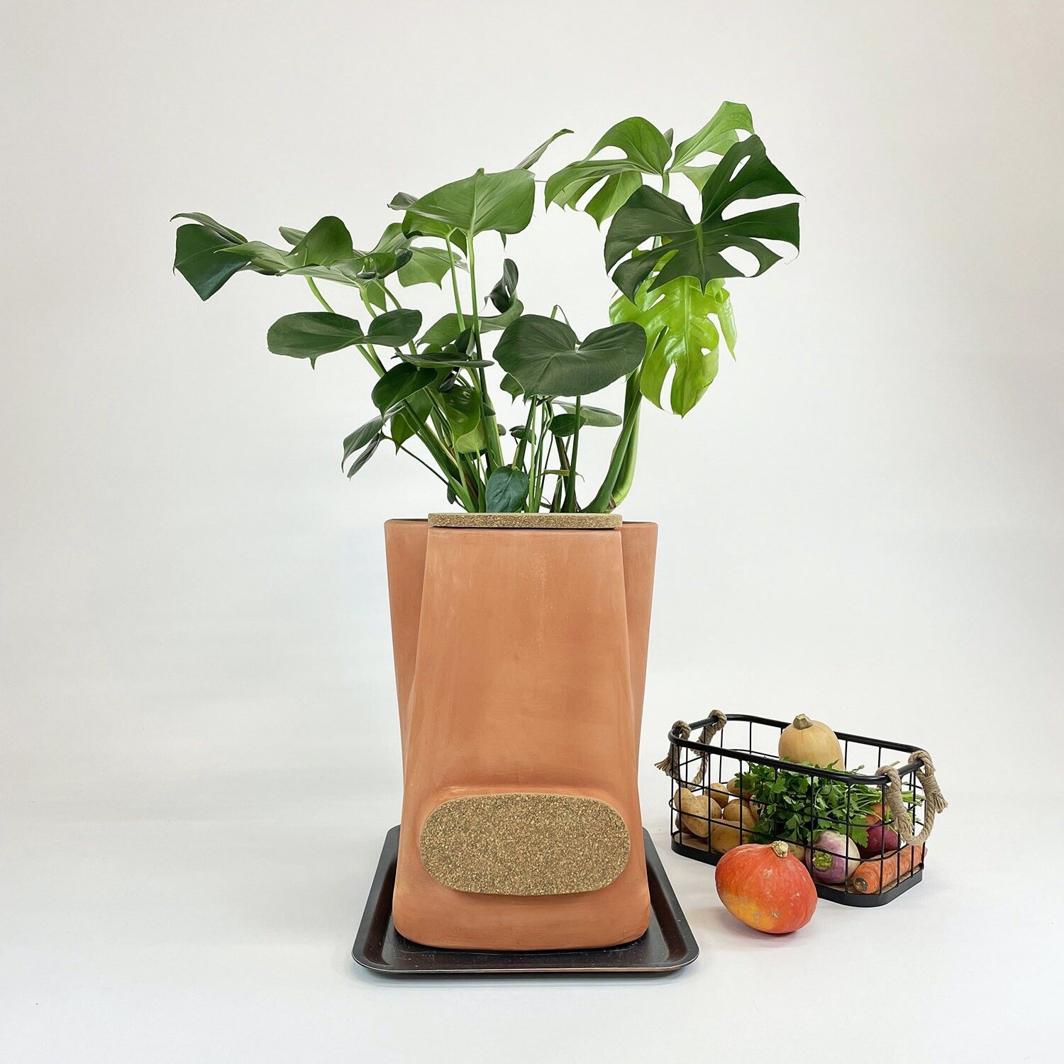 La maceta natural de vermicompostadora