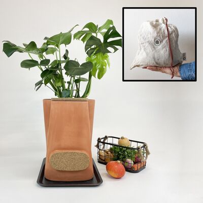 Discovery pack (composter flower pot + 2 Potos diffusers)