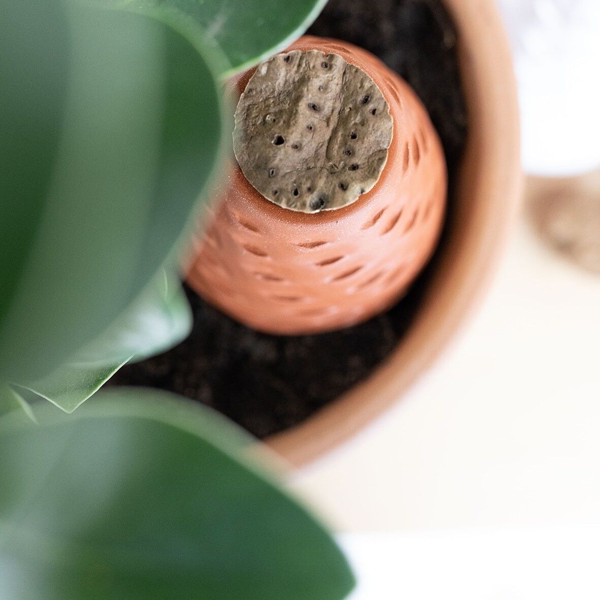 Difusor de agua poto terracota - olla 35 cl