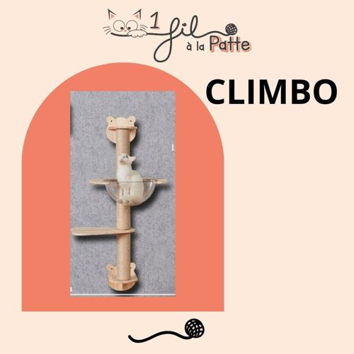 CLIMBO - l'arbre à chat mural en bois design