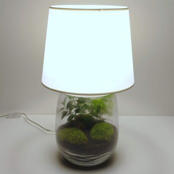 Lampe terrarium nue vase allongé L 4