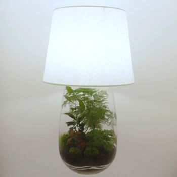 Lampe terrarium nue vase allongé XXL 4