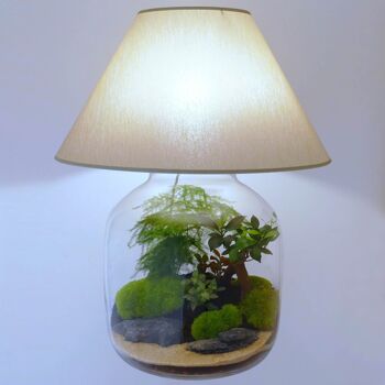 Lampe terrarium nue vase bonbonne XXL 4