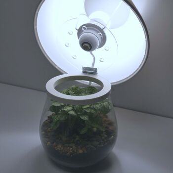 Lampe terrarium nue de chevet 2