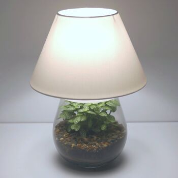 Lampe terrarium nue de chevet 3
