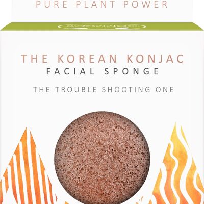 The Elements Fire - Purifying Volcanic Scoria Facial Sponge