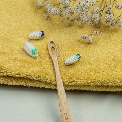 Cepillo de dientes de madera recargable - Juego de 15 mangos