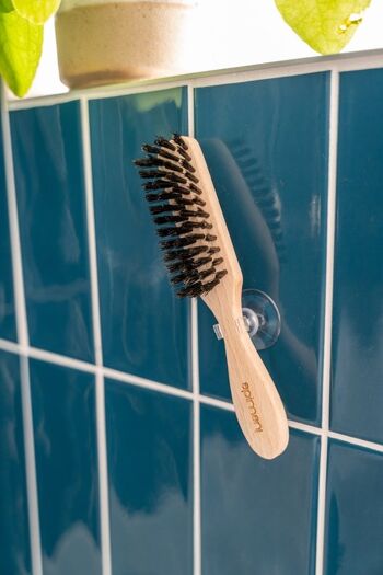 [DESTOCKAGE] Porte brosse à dents ventouse à Clips - Lot de 20 4