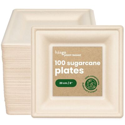 100 Recyclable Sugarcane Plates 20cm/5"
