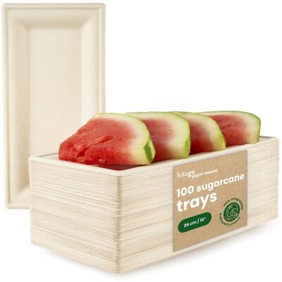 100 Sugarcane Serving Platters Biodegradable 26cm x 12cm