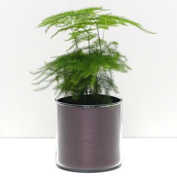 Pots + plantes - Pack "A" 9