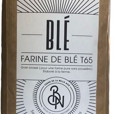 Farine de Blé – T65 5KG