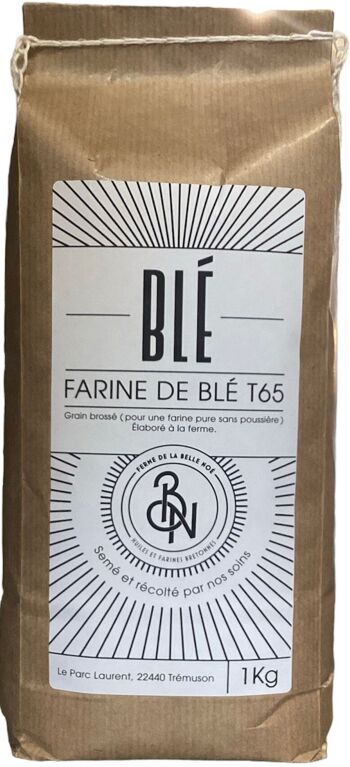 Farine de Blé – T65 25KG 2