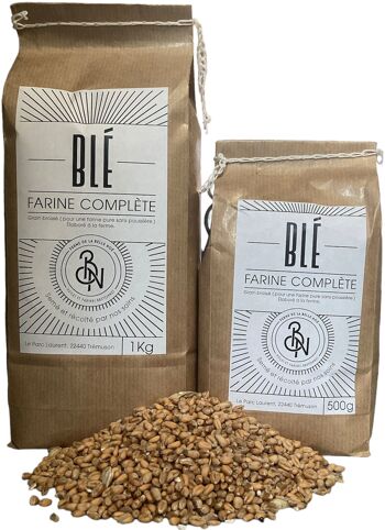 Farine de blé – T130 - Complète 500g 4