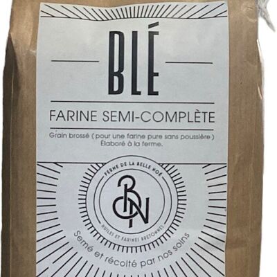 Farine de blé – T110 6 Semi complète 500g