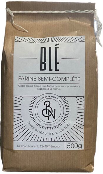 Farine de blé – T110 6 Semi complète 500g 1