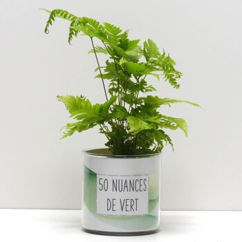 Pots + Plantes - Pack "F" 6