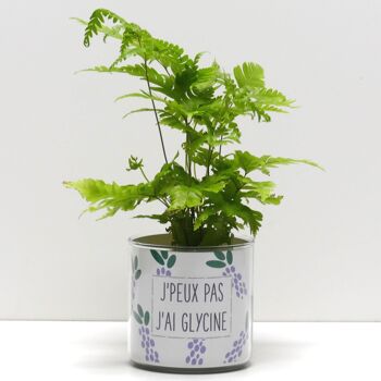 Pots + Plantes - Pack "F" 8