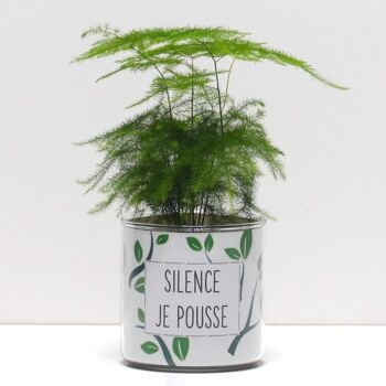 Pots + Plantes - Pack "F" 20