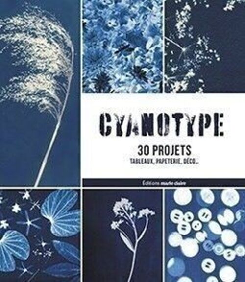 CYANOTYPE 30 PROJETS