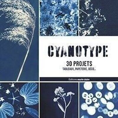 CYANOTYPE 30 PROJECTS