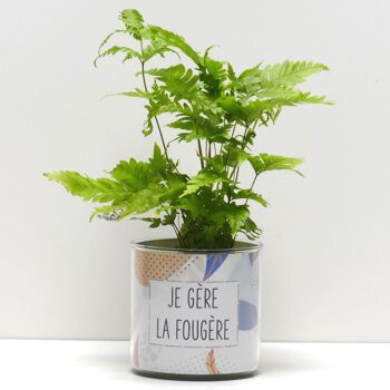 Pots + Plantes - Pack de 12 modèles à choisir 7