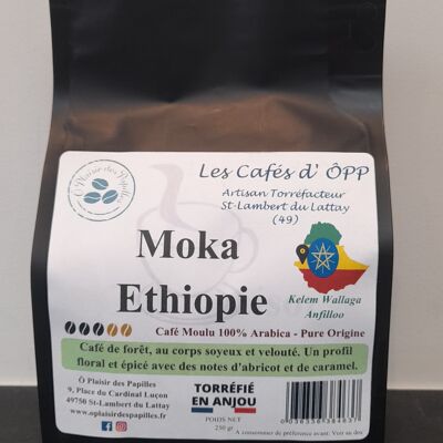Mokka-Äthiopien-Körner