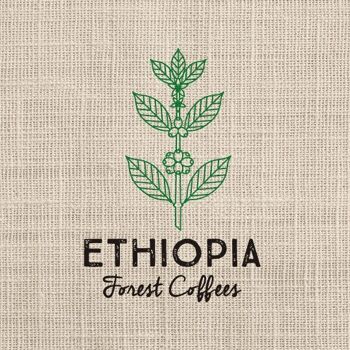 Le Moka Ethiopie Grains 3