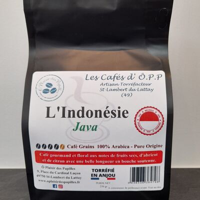 Fagioli di Java dell'Indonesia