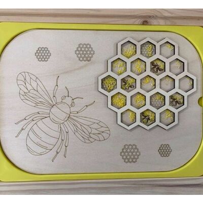 Bee and honeycomb (3D)
