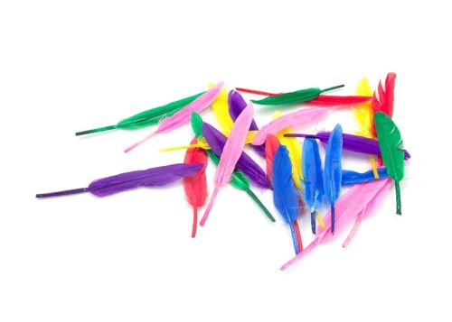 native American - Package 3: Attributes (Feathers)