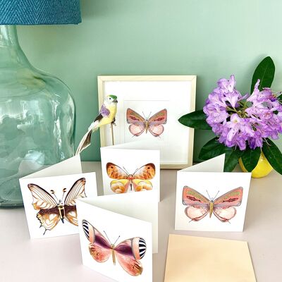 La dolce vita du una farfalla - Cartoline