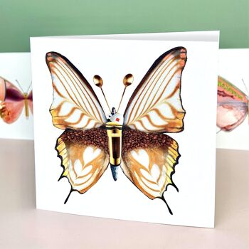 La dolce vita du una farfalla - Cartes postales 5
