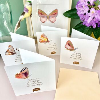 La dolce vita du una farfalla - Cartes postales 7