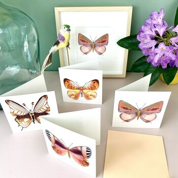 La dolce vita du una farfalla - Cartes postales 9