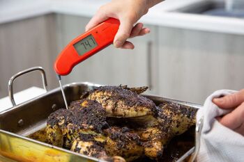 Thermapen® One 6
