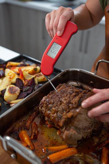 Thermapen® One 7