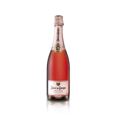 Juve & Camps Brut Rosé