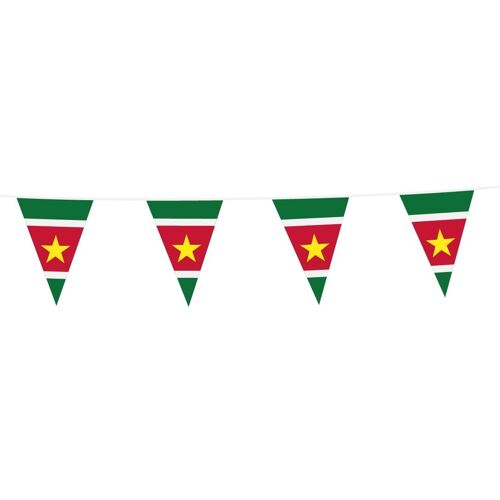 Bunting PE 10m Suriname size flags: 20x30cm