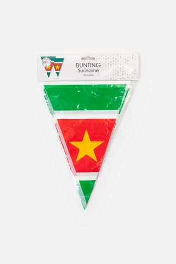 Banderoles PE 10m Drapeaux Suriname taille : 20x30cm 2