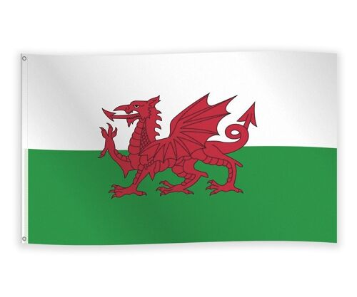 Flag Wales 150cm x 90cm