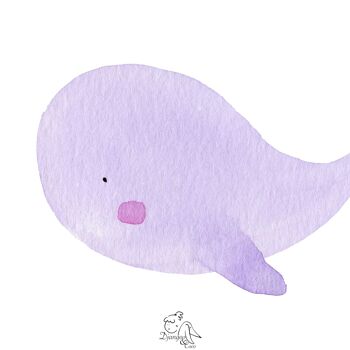 Baleine violette 2