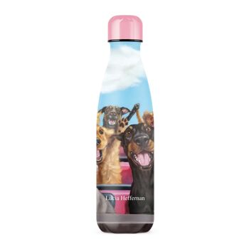 IZY - Bouteille Isotherme Artiste - Lucia Heffernan - Thrill Seekers - 500ml 2