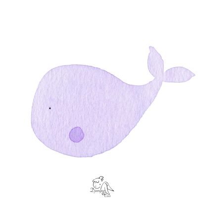 Bébé baleine violette