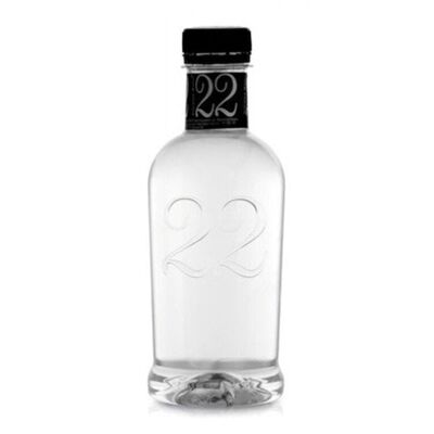 Artesisches Wasser 22 24x322 ml