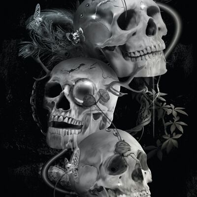 The skulls