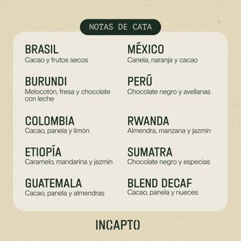 Café en Grano Naturel INCAPTO - Café de Especialidad | Pack Degustación WORLDWIDE 100% Arábica, Descubre 10 Orígenes - 1 kg 3