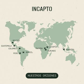 Café en Grano Naturel INCAPTO - Café de Especialidad | Pack Degustación WORLDWIDE 100% Arábica, Descubre 10 Orígenes - 1 kg 4