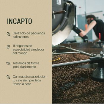 Café en Grano Naturel INCAPTO - Café de Especialidad | Pack Degustación WORLDWIDE 100% Arábica, Descubre 10 Orígenes - 1 kg 7