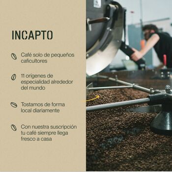 Café en Grano Naturel INCAPTO - Café de Especialidad | Origen ETIOPÍA | Variété 100% Arabica 5